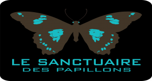 Le Sanctuaire Des Papillons