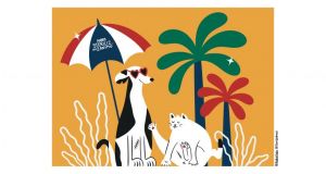 MASS STERILIZATION CAMPAIGNS FOR STRAY ANIMALS