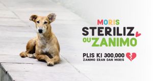 Campagne de sensibilisation à la STERILISATION des animaux
