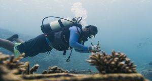 BLUER Ocean Project - Restauration Corallienne, sensibilisation et formation à l’Ile Rodrigues - 2022