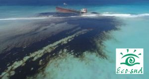 Mauritius Oil Spill Cleaning 2020 - MV WAKASHIO 