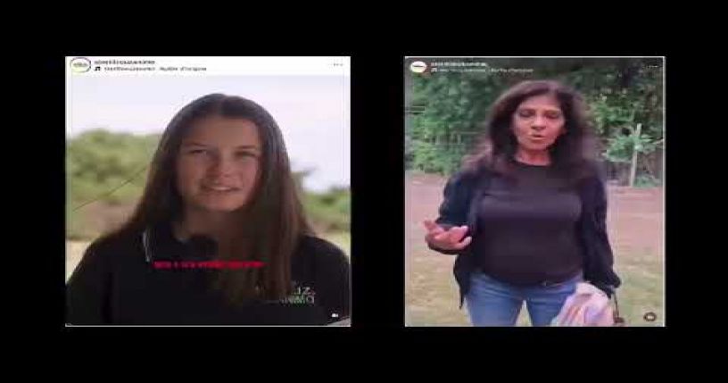 MASS STERILIZATION CAMPAIGNS FOR STRAY ANIMALS